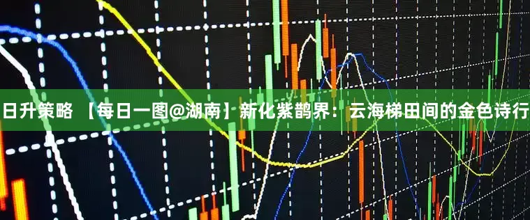 日升策略 【每日一图@湖南】新化紫鹊界：云海梯田间的金色诗行